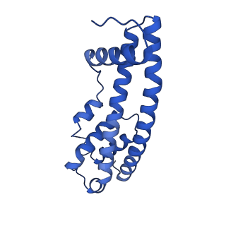 9005_6e8g_I_v1-2
CryoEM reconstruction of IST1-CHMP1B copolymer filament bound to ssDNA at 2.9 Angstrom resolution