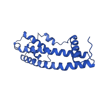 9005_6e8g_JA_v1-2
CryoEM reconstruction of IST1-CHMP1B copolymer filament bound to ssDNA at 2.9 Angstrom resolution