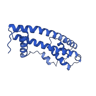 9005_6e8g_JB_v1-3
CryoEM reconstruction of IST1-CHMP1B copolymer filament bound to ssDNA at 2.9 Angstrom resolution