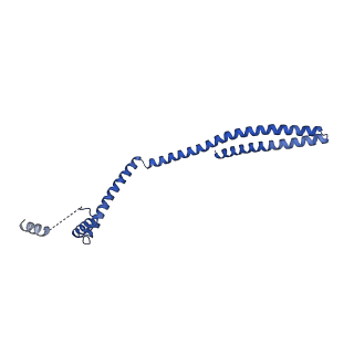 9005_6e8g_J_v1-3
CryoEM reconstruction of IST1-CHMP1B copolymer filament bound to ssDNA at 2.9 Angstrom resolution