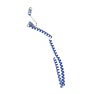 9005_6e8g_KA_v1-3
CryoEM reconstruction of IST1-CHMP1B copolymer filament bound to ssDNA at 2.9 Angstrom resolution