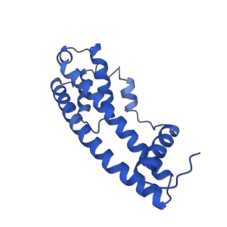 9005_6e8g_K_v1-2
CryoEM reconstruction of IST1-CHMP1B copolymer filament bound to ssDNA at 2.9 Angstrom resolution