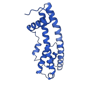 9005_6e8g_LA_v1-3
CryoEM reconstruction of IST1-CHMP1B copolymer filament bound to ssDNA at 2.9 Angstrom resolution