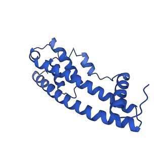 9005_6e8g_LB_v1-3
CryoEM reconstruction of IST1-CHMP1B copolymer filament bound to ssDNA at 2.9 Angstrom resolution