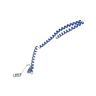 9005_6e8g_MA_v1-3
CryoEM reconstruction of IST1-CHMP1B copolymer filament bound to ssDNA at 2.9 Angstrom resolution