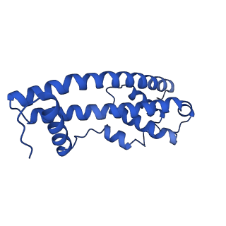 9005_6e8g_M_v1-3
CryoEM reconstruction of IST1-CHMP1B copolymer filament bound to ssDNA at 2.9 Angstrom resolution