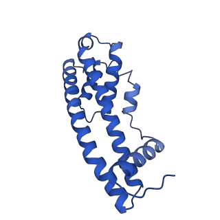 9005_6e8g_NA_v1-2
CryoEM reconstruction of IST1-CHMP1B copolymer filament bound to ssDNA at 2.9 Angstrom resolution