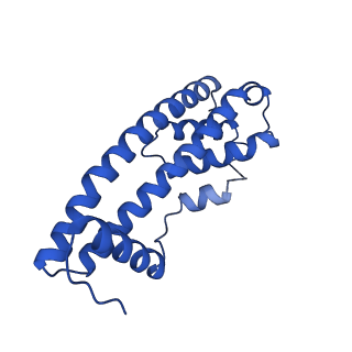 9005_6e8g_NB_v1-2
CryoEM reconstruction of IST1-CHMP1B copolymer filament bound to ssDNA at 2.9 Angstrom resolution