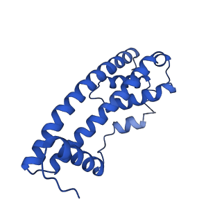 9005_6e8g_NB_v1-3
CryoEM reconstruction of IST1-CHMP1B copolymer filament bound to ssDNA at 2.9 Angstrom resolution