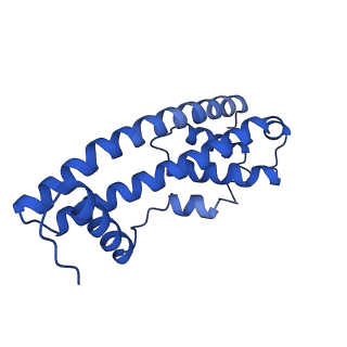 9005_6e8g_O_v1-3
CryoEM reconstruction of IST1-CHMP1B copolymer filament bound to ssDNA at 2.9 Angstrom resolution