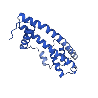 9005_6e8g_PA_v1-2
CryoEM reconstruction of IST1-CHMP1B copolymer filament bound to ssDNA at 2.9 Angstrom resolution