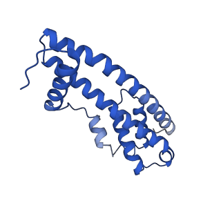 9005_6e8g_PA_v1-3
CryoEM reconstruction of IST1-CHMP1B copolymer filament bound to ssDNA at 2.9 Angstrom resolution