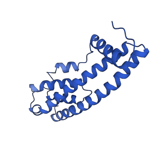 9005_6e8g_PB_v1-3
CryoEM reconstruction of IST1-CHMP1B copolymer filament bound to ssDNA at 2.9 Angstrom resolution