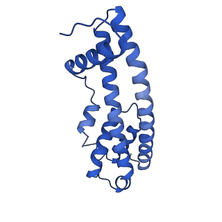 9005_6e8g_Q_v1-3
CryoEM reconstruction of IST1-CHMP1B copolymer filament bound to ssDNA at 2.9 Angstrom resolution