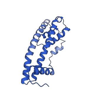 9005_6e8g_RA_v1-2
CryoEM reconstruction of IST1-CHMP1B copolymer filament bound to ssDNA at 2.9 Angstrom resolution