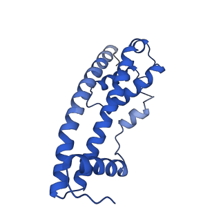 9005_6e8g_RA_v1-3
CryoEM reconstruction of IST1-CHMP1B copolymer filament bound to ssDNA at 2.9 Angstrom resolution