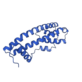 9005_6e8g_RB_v1-3
CryoEM reconstruction of IST1-CHMP1B copolymer filament bound to ssDNA at 2.9 Angstrom resolution