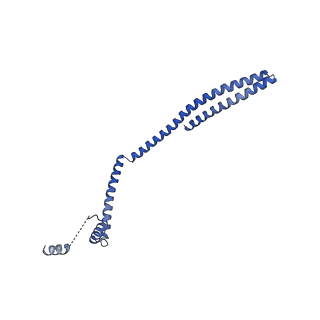 9005_6e8g_R_v1-3
CryoEM reconstruction of IST1-CHMP1B copolymer filament bound to ssDNA at 2.9 Angstrom resolution