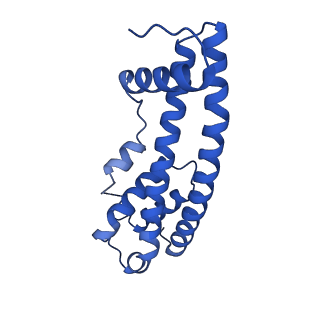 9005_6e8g_TA_v1-3
CryoEM reconstruction of IST1-CHMP1B copolymer filament bound to ssDNA at 2.9 Angstrom resolution