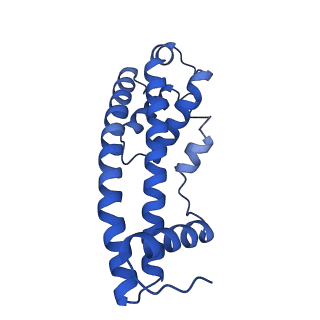 9005_6e8g_VA_v1-2
CryoEM reconstruction of IST1-CHMP1B copolymer filament bound to ssDNA at 2.9 Angstrom resolution