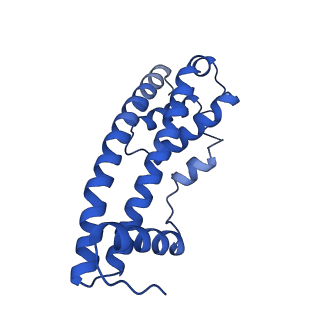 9005_6e8g_V_v1-2
CryoEM reconstruction of IST1-CHMP1B copolymer filament bound to ssDNA at 2.9 Angstrom resolution