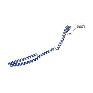 9005_6e8g_WA_v1-3
CryoEM reconstruction of IST1-CHMP1B copolymer filament bound to ssDNA at 2.9 Angstrom resolution