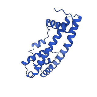 9005_6e8g_X_v1-2
CryoEM reconstruction of IST1-CHMP1B copolymer filament bound to ssDNA at 2.9 Angstrom resolution
