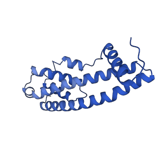 9005_6e8g_ZA_v1-3
CryoEM reconstruction of IST1-CHMP1B copolymer filament bound to ssDNA at 2.9 Angstrom resolution