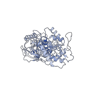 27953_8e92_A_v1-1
D-cycloserine and glutamate bound Human GluN1a-GluN2C NMDA receptor in intact conformation