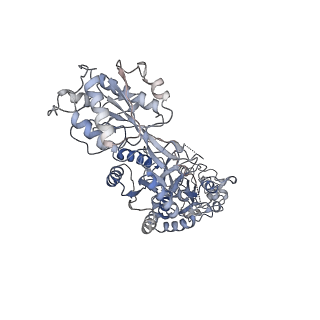 27953_8e92_B_v1-1
D-cycloserine and glutamate bound Human GluN1a-GluN2C NMDA receptor in intact conformation