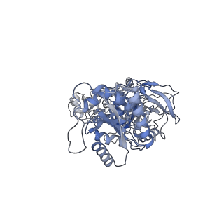 27953_8e92_C_v1-1
D-cycloserine and glutamate bound Human GluN1a-GluN2C NMDA receptor in intact conformation