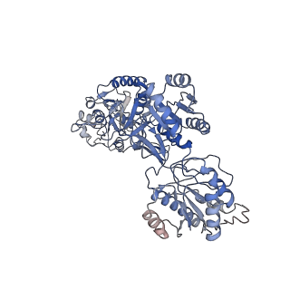 27953_8e92_D_v1-1
D-cycloserine and glutamate bound Human GluN1a-GluN2C NMDA receptor in intact conformation