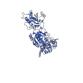 27954_8e93_B_v1-1
D-cycloserine and glutamate bound Human GluN1a-GluN2C NMDA receptor in splayed conformation