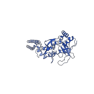 27954_8e93_C_v1-1
D-cycloserine and glutamate bound Human GluN1a-GluN2C NMDA receptor in splayed conformation