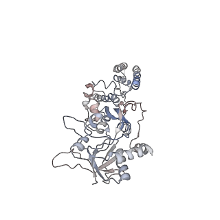 27954_8e93_D_v1-1
D-cycloserine and glutamate bound Human GluN1a-GluN2C NMDA receptor in splayed conformation