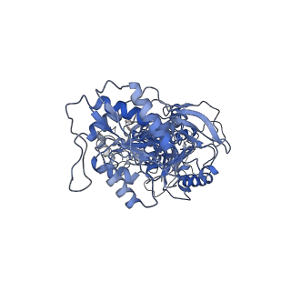27955_8e94_A_v1-1
PYD-106-bound Human GluN1a-GluN2C NMDA receptor in intact conformation