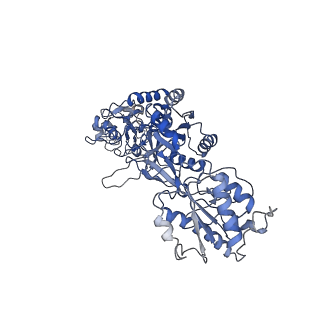 27955_8e94_B_v1-1
PYD-106-bound Human GluN1a-GluN2C NMDA receptor in intact conformation