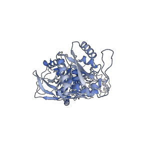 27955_8e94_C_v1-1
PYD-106-bound Human GluN1a-GluN2C NMDA receptor in intact conformation
