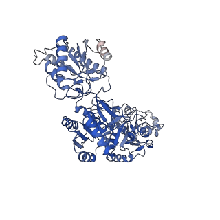 27955_8e94_D_v1-1
PYD-106-bound Human GluN1a-GluN2C NMDA receptor in intact conformation