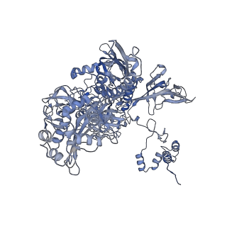 27956_8e95_C_v1-1
Mycobacterium tuberculosis RNAP elongation complex