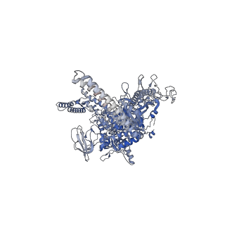 27956_8e95_D_v1-1
Mycobacterium tuberculosis RNAP elongation complex