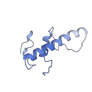 27956_8e95_E_v1-1
Mycobacterium tuberculosis RNAP elongation complex