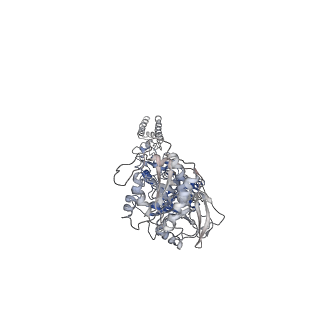 27957_8e96_A_v1-1
Glycine and glutamate bound Human GluN1a-GluN2D NMDA receptor