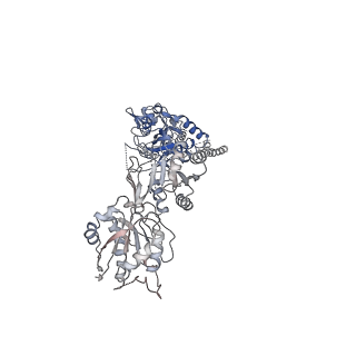 27957_8e96_B_v1-1
Glycine and glutamate bound Human GluN1a-GluN2D NMDA receptor