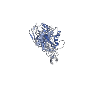 27957_8e96_C_v1-1
Glycine and glutamate bound Human GluN1a-GluN2D NMDA receptor