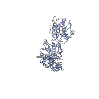 27957_8e96_D_v1-1
Glycine and glutamate bound Human GluN1a-GluN2D NMDA receptor