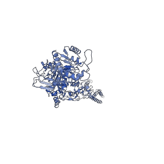 27958_8e97_A_v1-1
PYD-106-bound Human GluN1a-GluN2C NMDA receptor in splayed conformation
