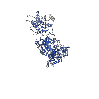 27958_8e97_B_v1-1
PYD-106-bound Human GluN1a-GluN2C NMDA receptor in splayed conformation