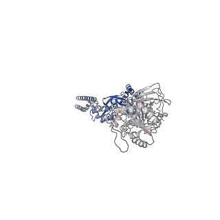 27958_8e97_C_v1-1
PYD-106-bound Human GluN1a-GluN2C NMDA receptor in splayed conformation