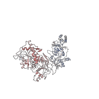 27958_8e97_D_v1-1
PYD-106-bound Human GluN1a-GluN2C NMDA receptor in splayed conformation